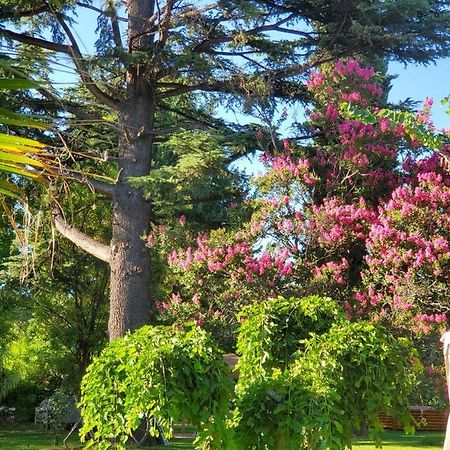 Quinta Ugarte Bed and Breakfast Lujan de Cuyo Εξωτερικό φωτογραφία