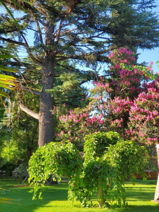 Quinta Ugarte Bed and Breakfast Lujan de Cuyo Εξωτερικό φωτογραφία