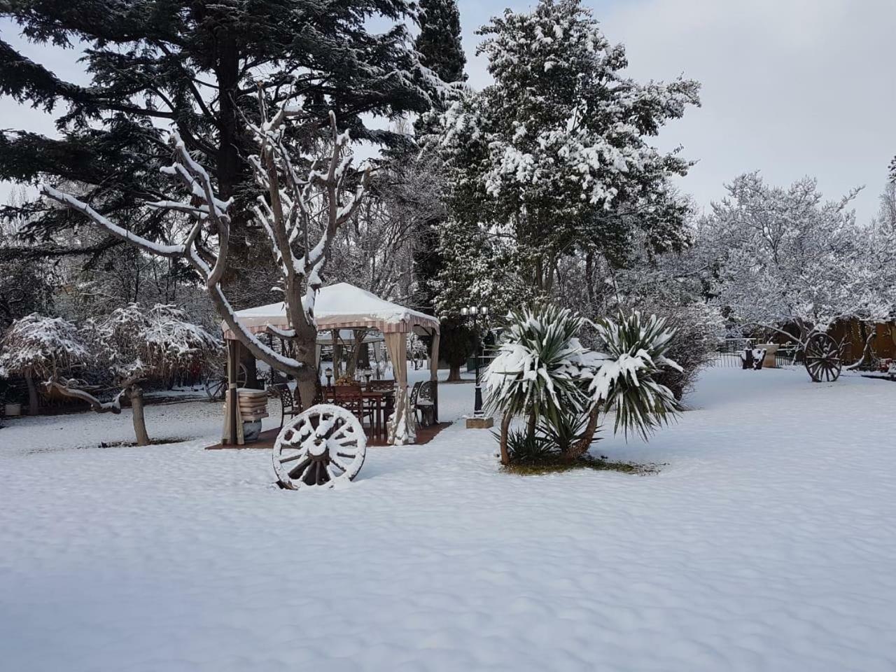 Quinta Ugarte Bed and Breakfast Lujan de Cuyo Εξωτερικό φωτογραφία