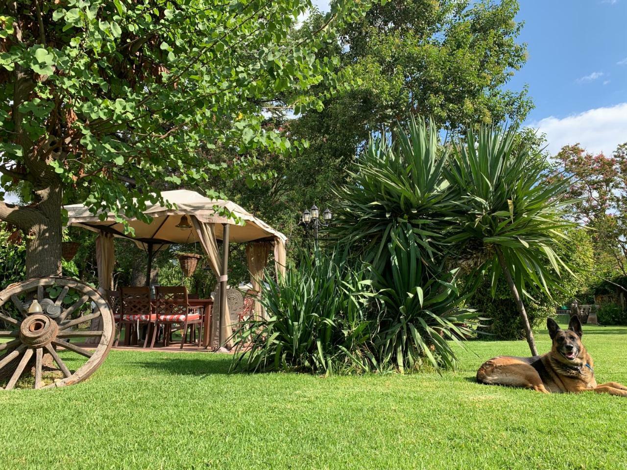 Quinta Ugarte Bed and Breakfast Lujan de Cuyo Εξωτερικό φωτογραφία