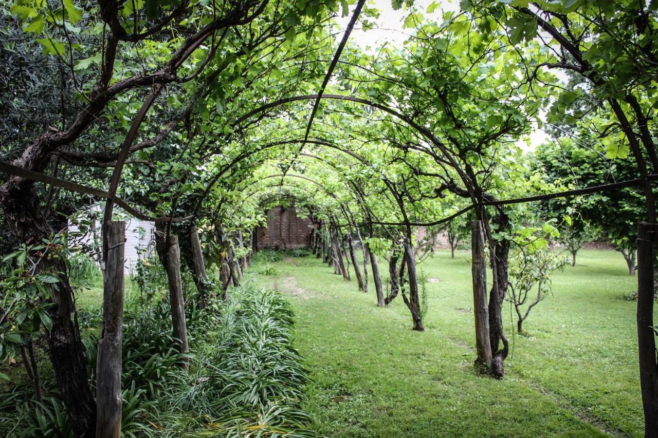 Quinta Ugarte Bed and Breakfast Lujan de Cuyo Εξωτερικό φωτογραφία